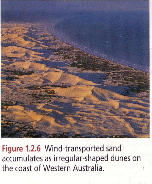 coastal sand dunes case study stockton beach coastal sand dunes case study stockton beach