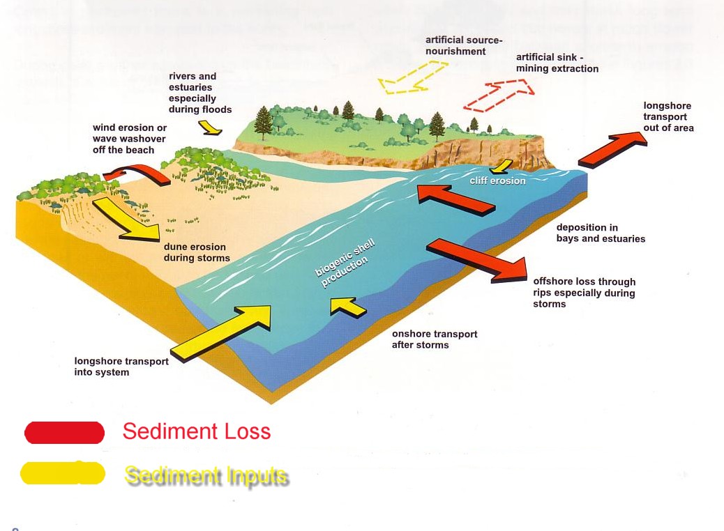 Coastal Sand Dunes Case Study Stockton wetland impact diagram 